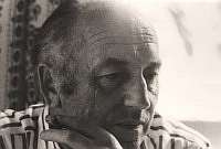 Hans Theis